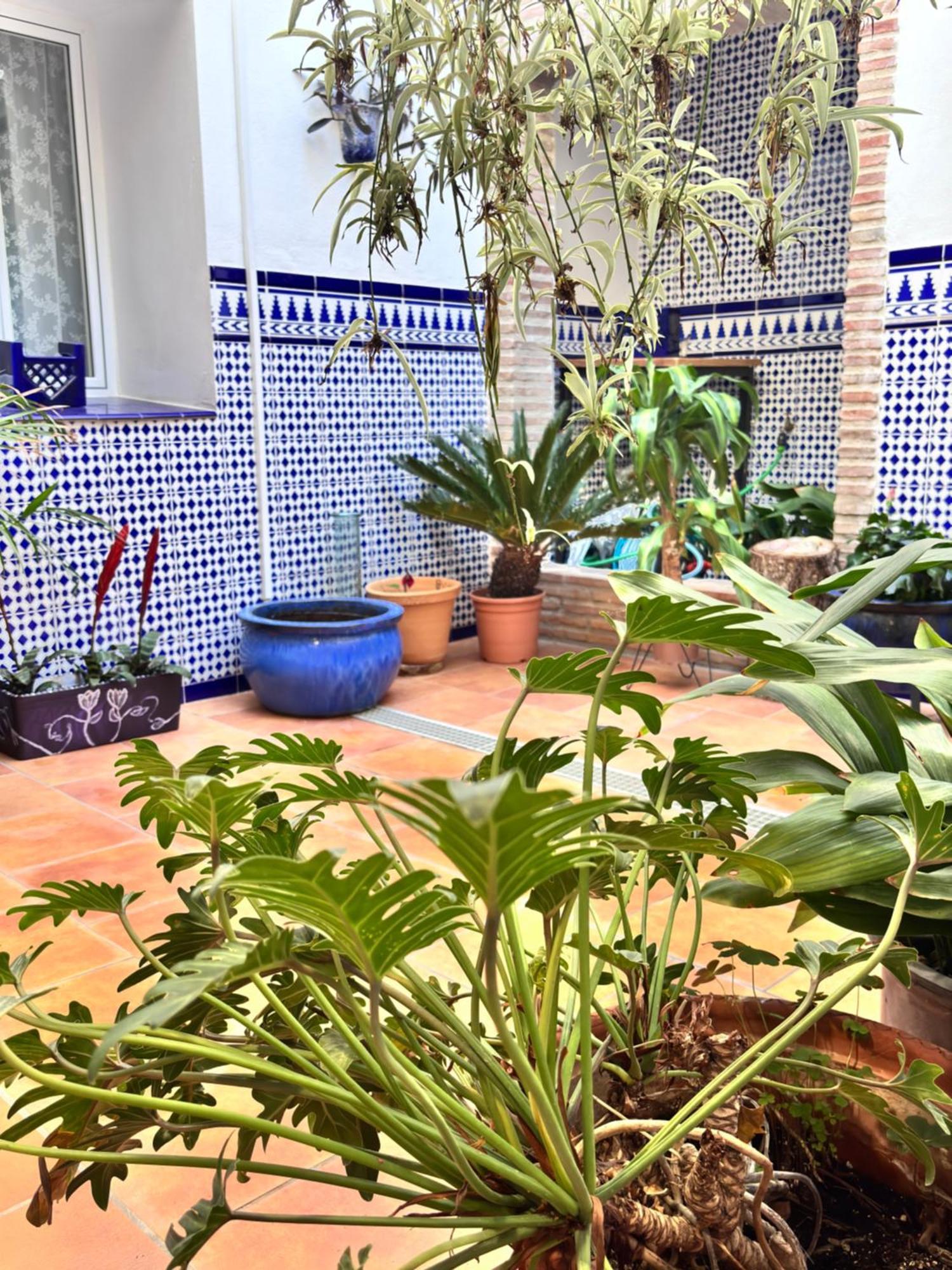 Shanti'S Andalusian Rooms Μάλαγα Εξωτερικό φωτογραφία